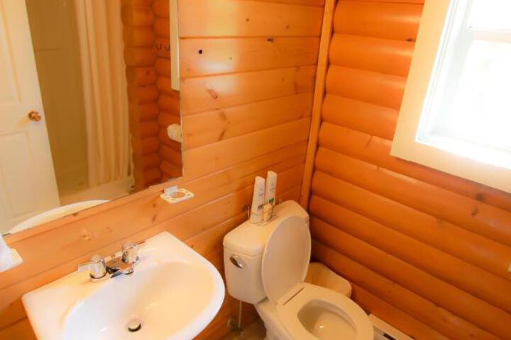 Mt. Revelstoke Alpine Chalets