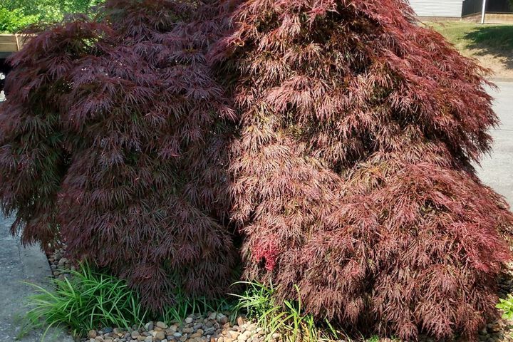 The Glenville Inn