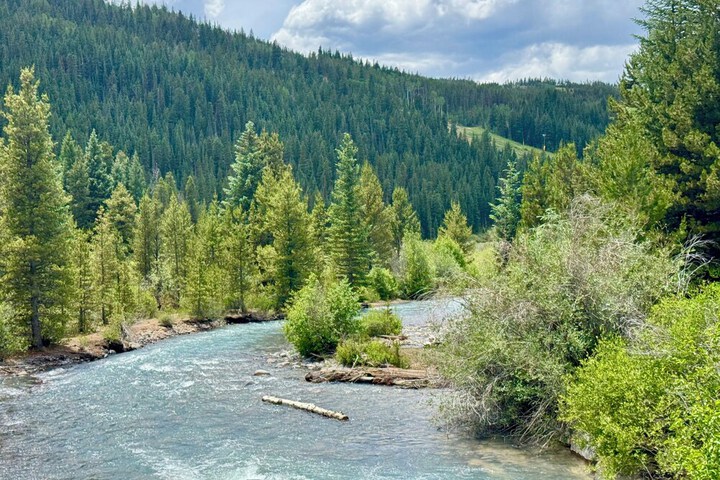 Settlers Creek 6523