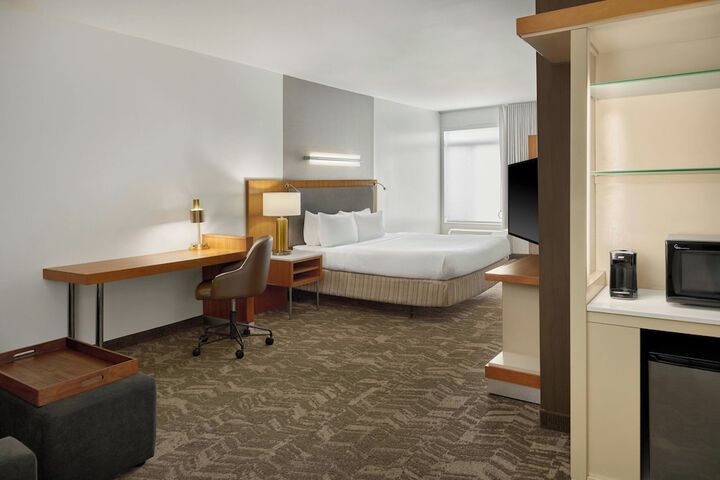 SpringHill Suites by Marriott Detroit Metro Airport Romulus