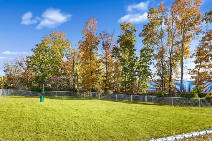 Pet Friendly 31 of 31