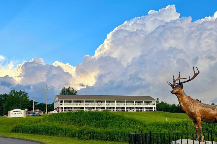 Blue Vista Motor Lodge