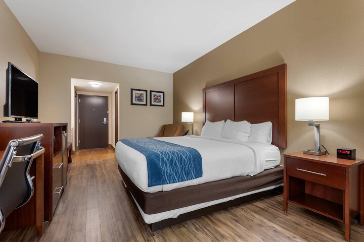 Comfort Inn Binghamton I-81