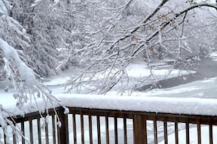 Cheat River Lodge and Cabins