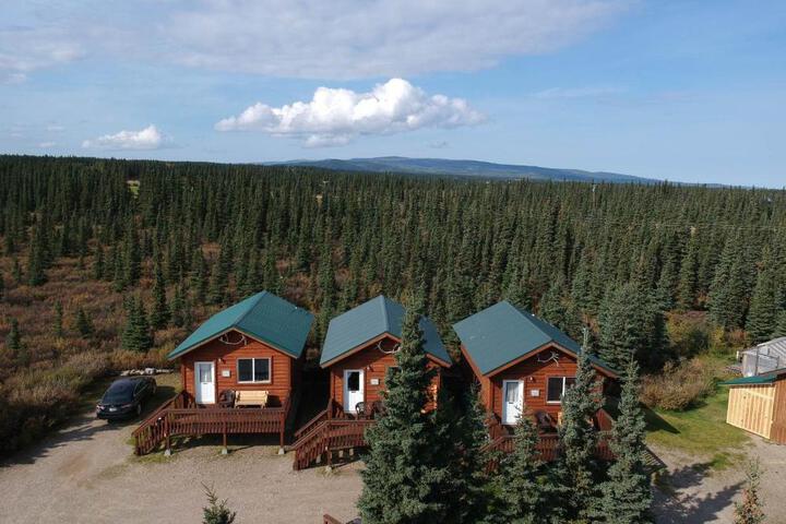 Denalis Alaskan Spruce Cabins
