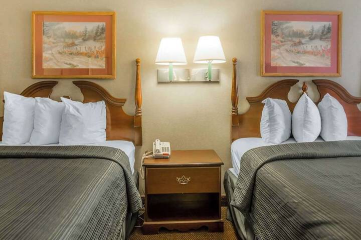 Quality Inn Reidsville Hwy 29