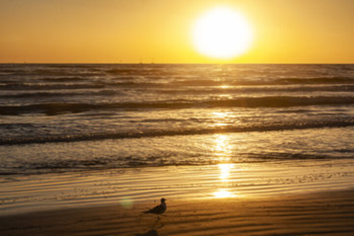 Beach 141 of 176
