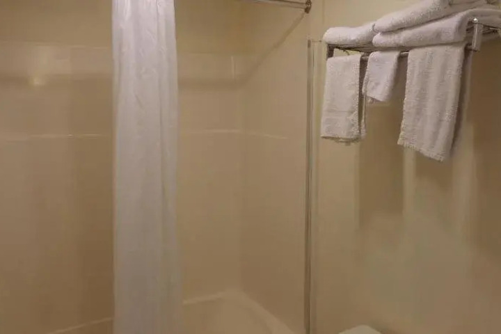 RED CARPET INN & SUITES PALMYRA