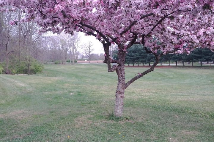Property Grounds 40 of 40
