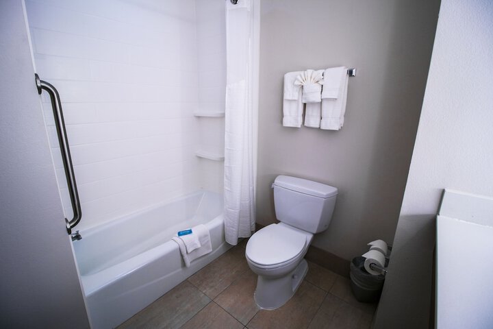 Holiday Inn Express Hotel & Suites a Baton Rouge-Port Allen by IHG