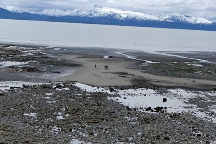 Beach 82 of 103