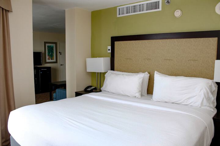 Holiday Inn Corpus Christi Downtown Marina by IHG