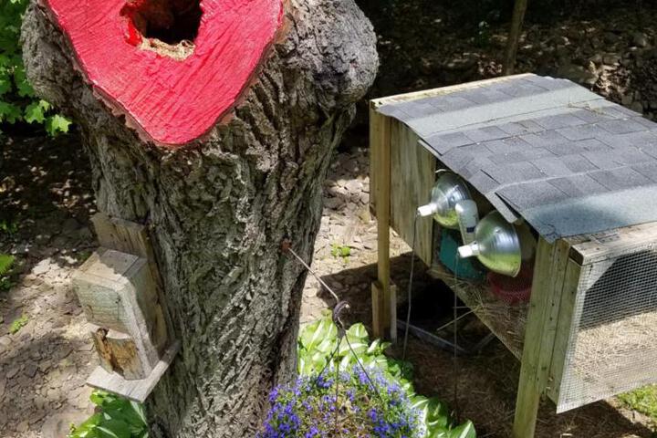 Kountry Living Bed and Breakfast
