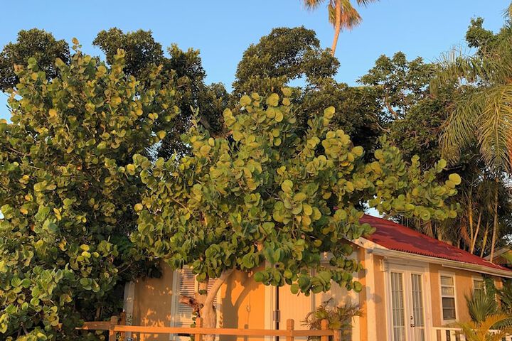 Turtle Beach Resort
