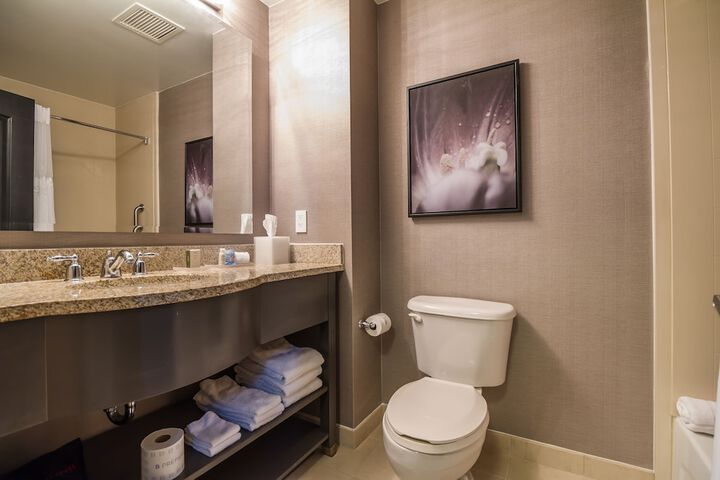 TRYP by Wyndham Savannah Downtown / Historic District