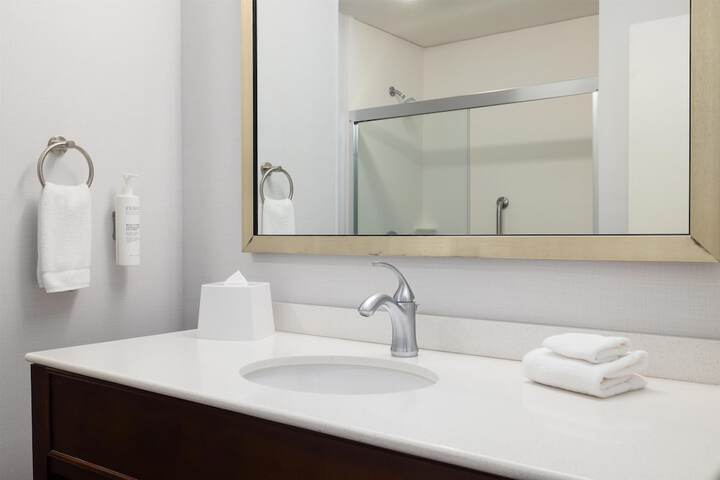 Hampton Inn & Suites Roanoke-Downtown