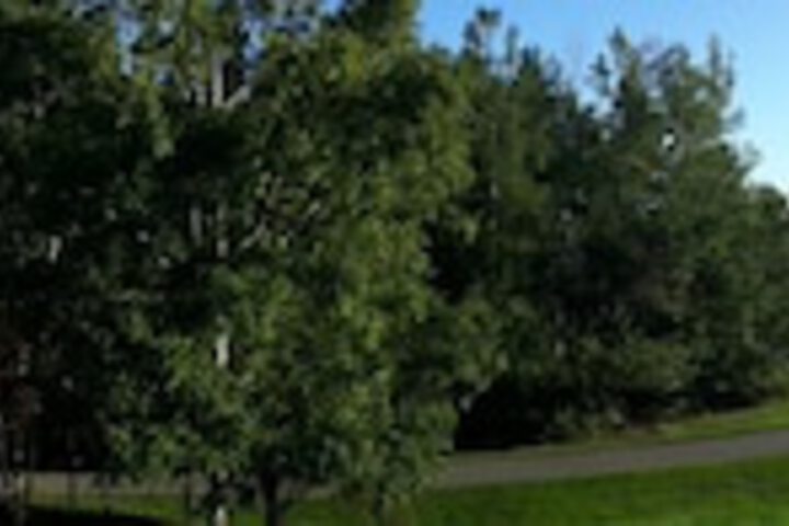 Property Grounds 82 of 83