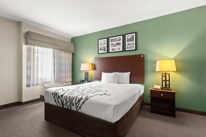 Sleep Inn & Suites Bush Intercontinental - IAH East