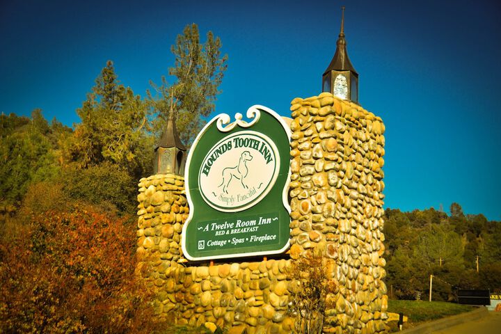 Hounds Tooth Inn