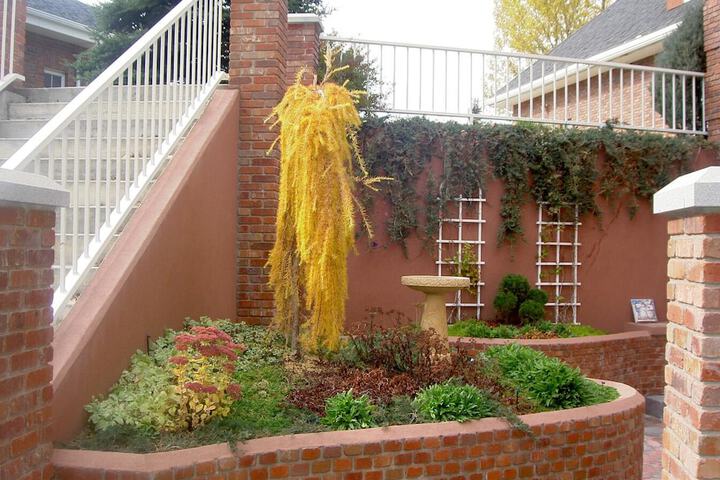 Terrace/Patio 37 of 37