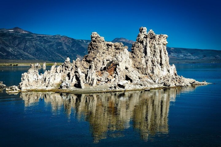 Lake Front Cabins