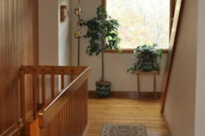 Cheat River Lodge and Cabins