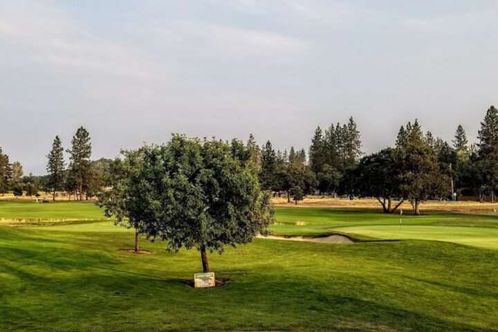 Golf 80 of 115