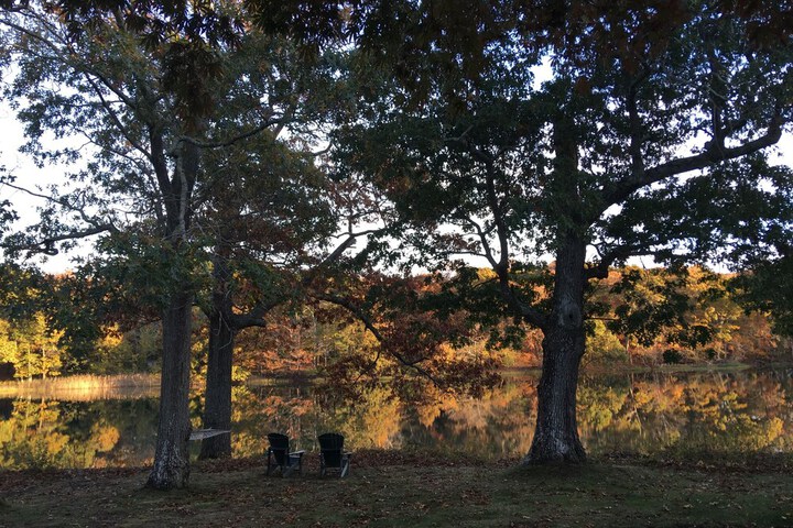 Property Grounds 36 of 38