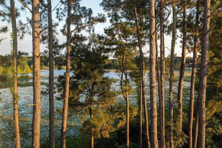 Hotel View 39 of 40