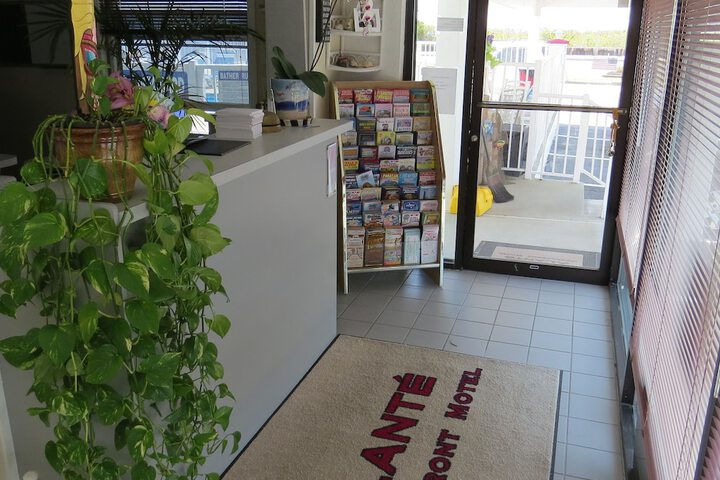 Alante Oceanfront Motel