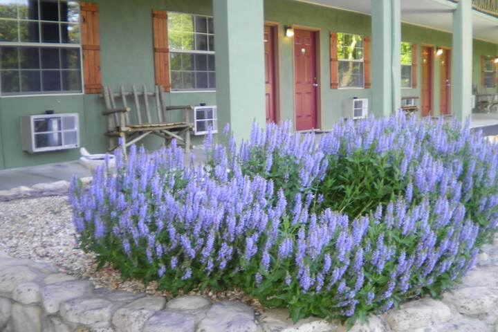 Hotel 7 of 43