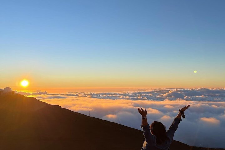 Howzit Hostels Hawaii
