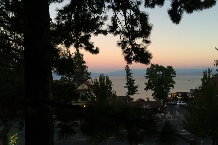 Pepper Tree Inn