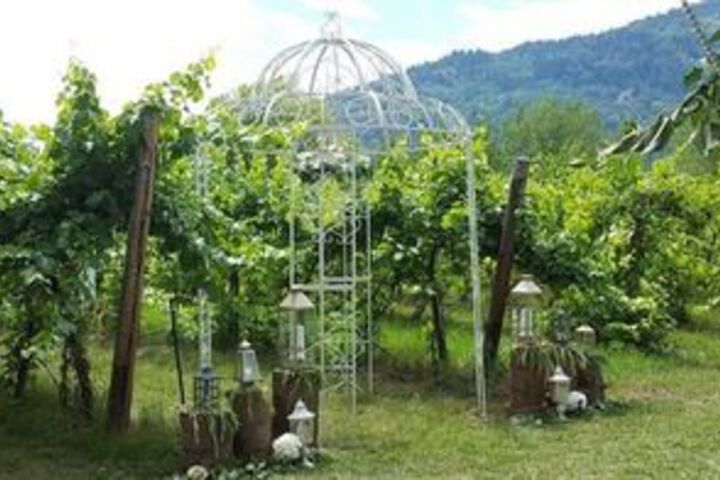 Columbia Gardens Winery and Grape Escape Guesthouse