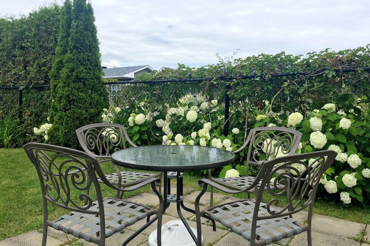 Terrace/Patio 50 of 57