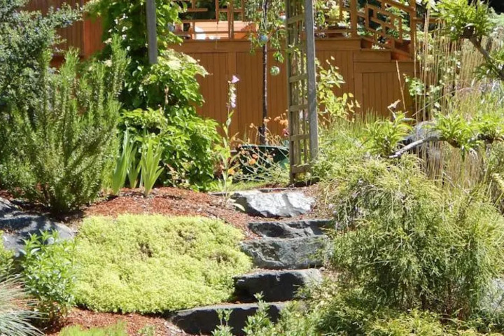 GREEN CAT GUEST HOUSE