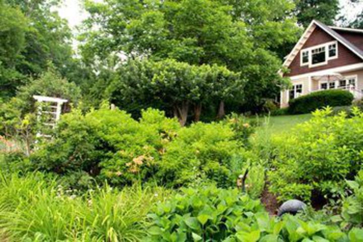 Arbor House of Black Mountain