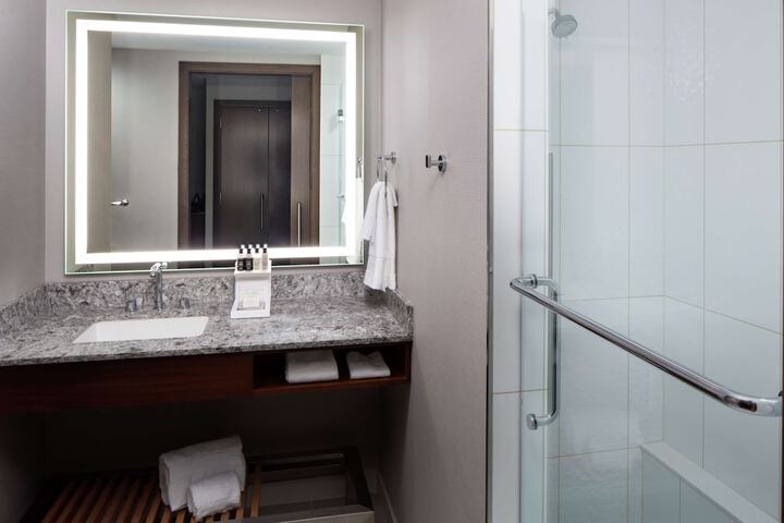 Hilton Rochester Mayo Clinic Area