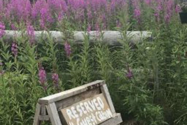 Raven House Alaska
