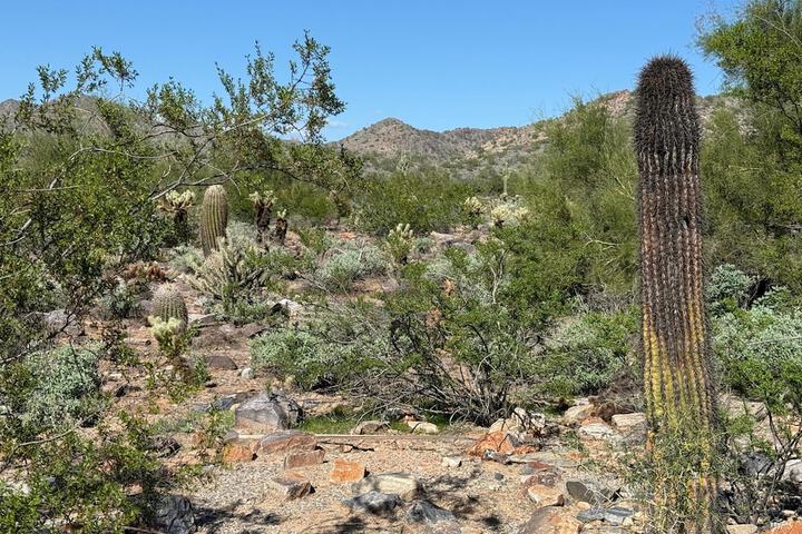 Hilton Scottsdale Resort & Villas