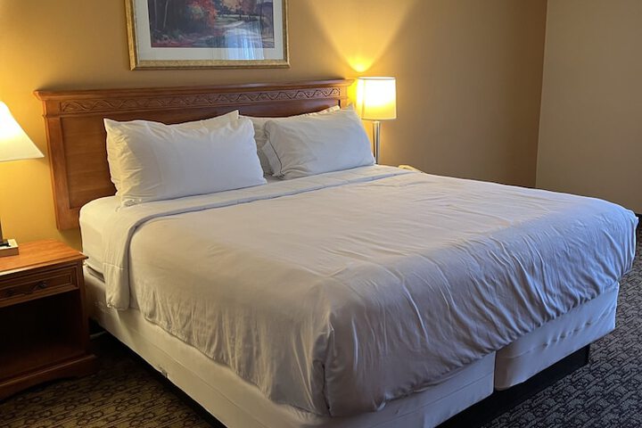 Hotel Xola