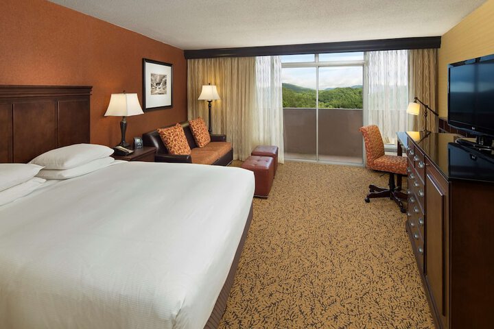 The Park Vista - a DoubleTree by Hilton Hotel - Gatlinburg