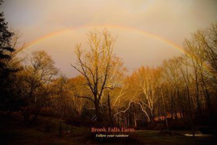 Brook Falls Farm