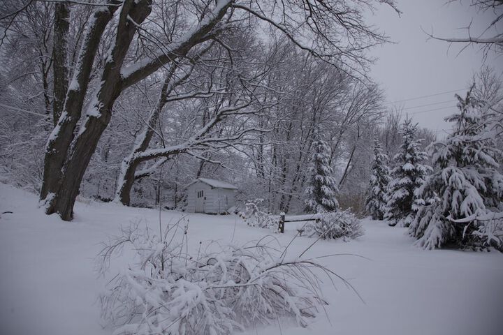 Property Grounds 37 of 39
