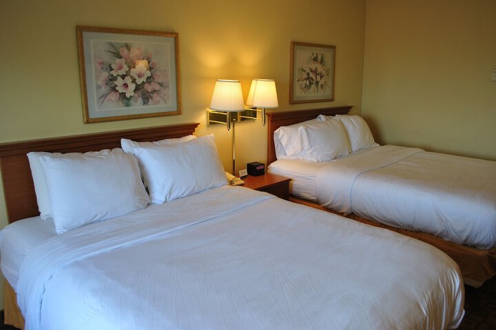 Room 33 of 51