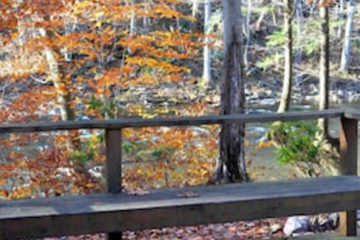 Cheat River Lodge and Cabins