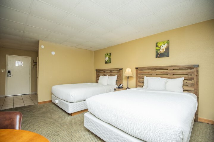 Room 257 of 345