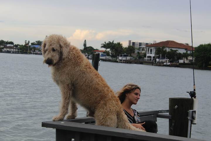 Pet Friendly 65 of 80