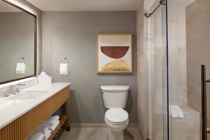 Hilton Anatole
