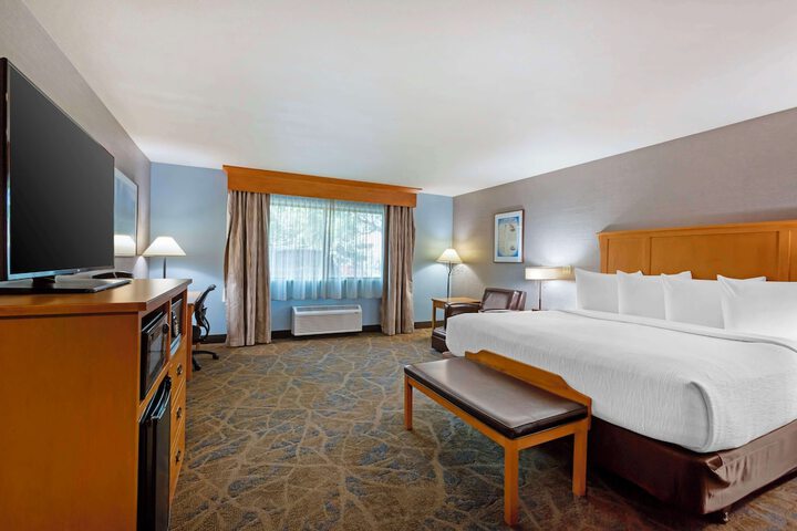 Room 16 of 59